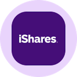 iShares Core MSCI EAFE ETF Ondo Tokenized
